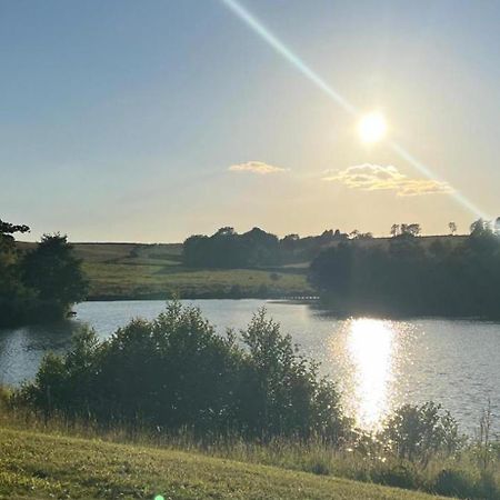 Cuddfan Lodge On A Gorgeous Private Lake Newport  Exterior photo